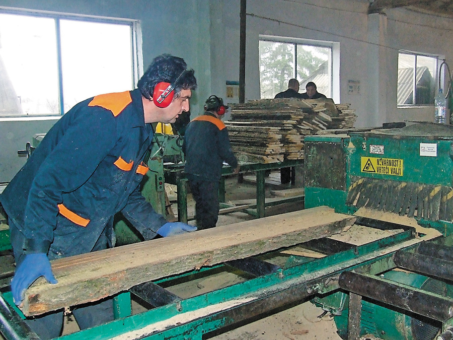 У Хотинському лісгоспі переробляють деревину, не затребувану місцевими деревообробними підприємствами. Фото Аліни АГОПШУК